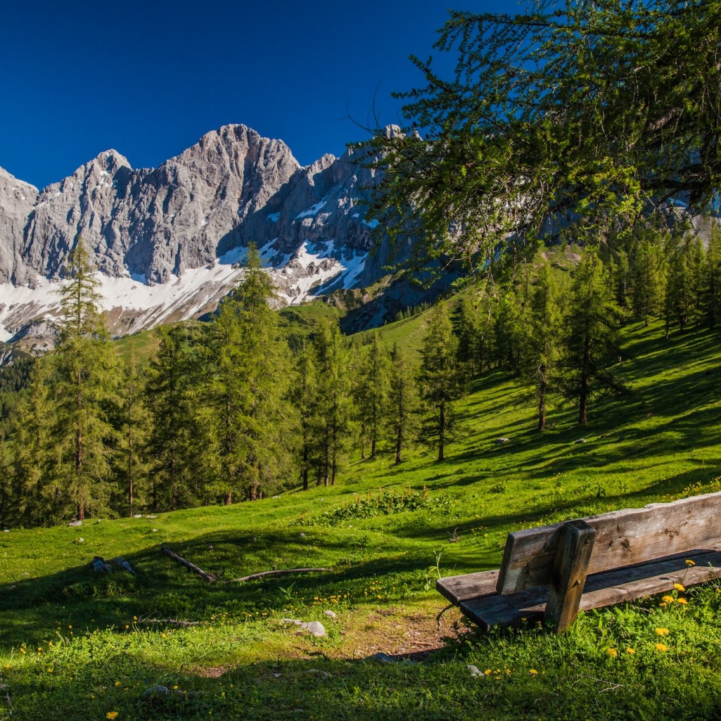 Sommer am Brandriedel © René Eduard Perhab