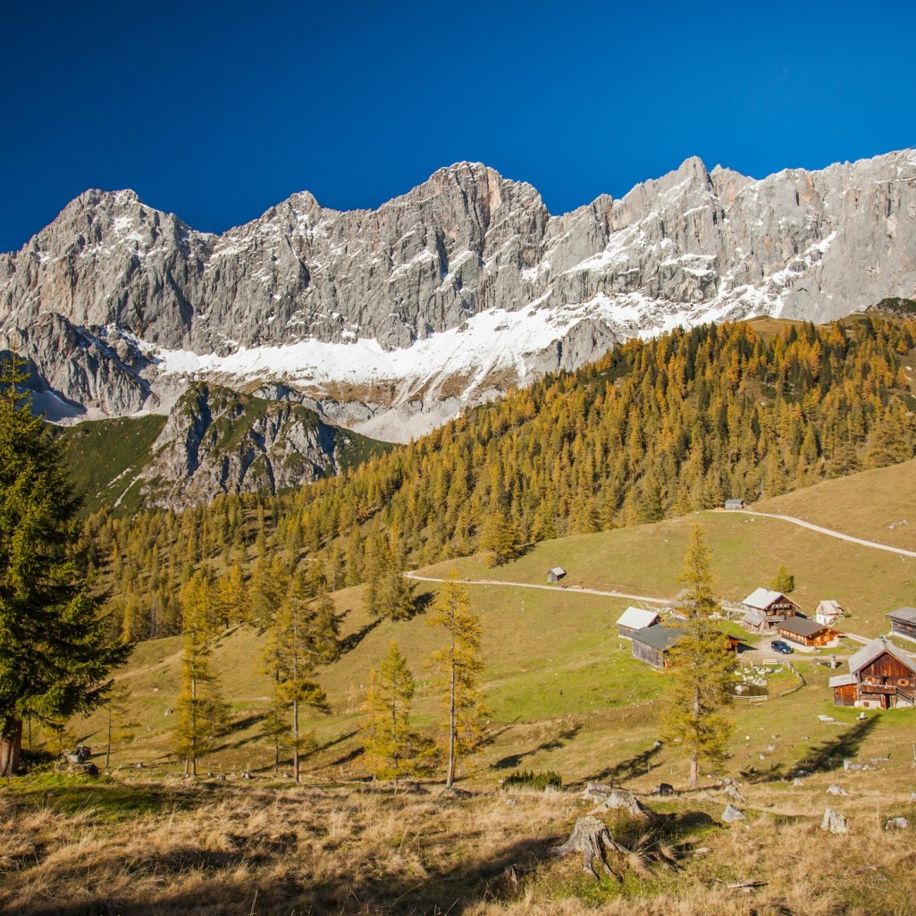 Ramsauer Almengebiet am Dachstein © René Eduard Perhab 