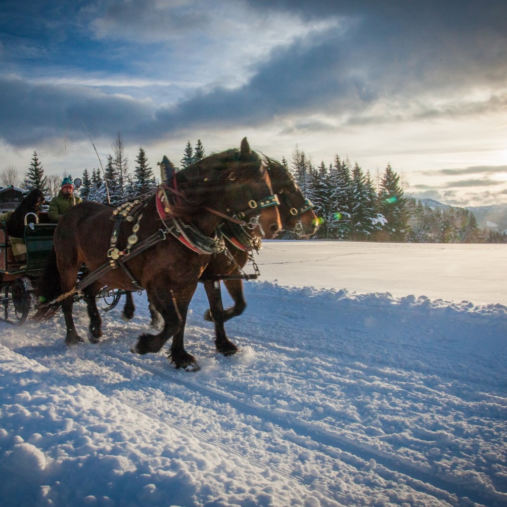 Pferdeschlittenfahrt durch die verschneite Winterlandschaft © René Eduard Perhab