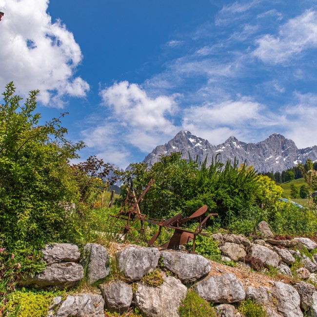 Der Blick vom Bergerhof zum Dachstein